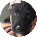 Tony Cowan profile picture